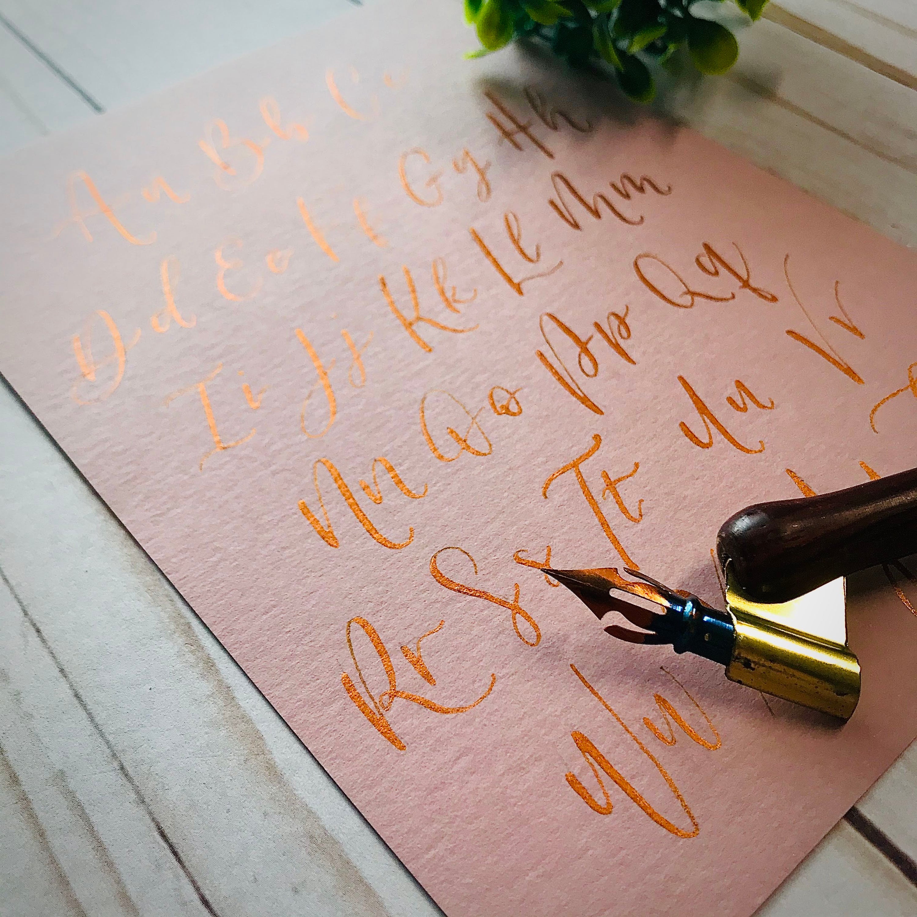 Blush card stock on top of a wood table with copper calligraphy lettering of the alphabet and a traditional pumpkin nib calligraphy pen resting on top of the card stock