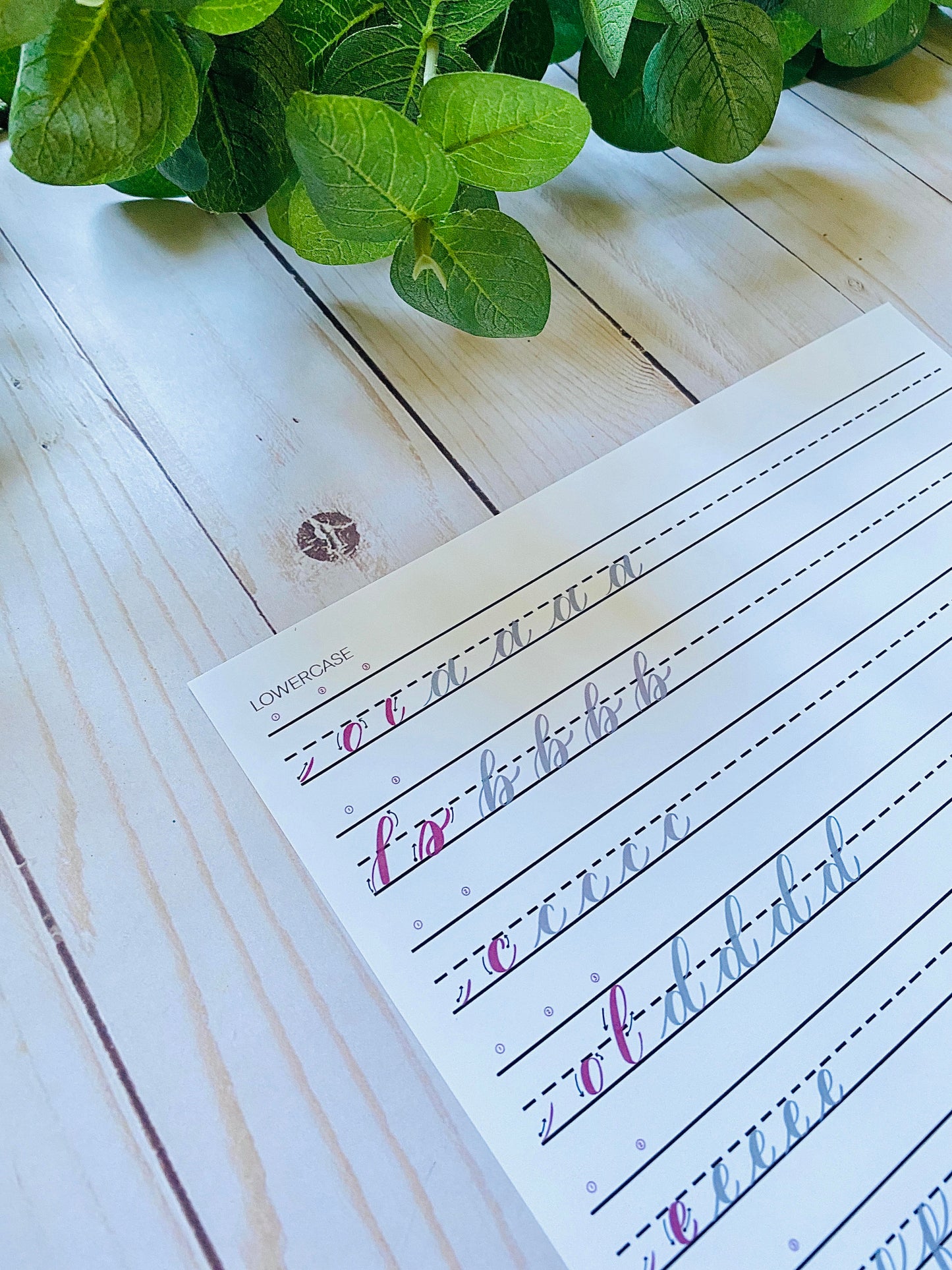 Beginner's Modern Brush Calligraphy Kit