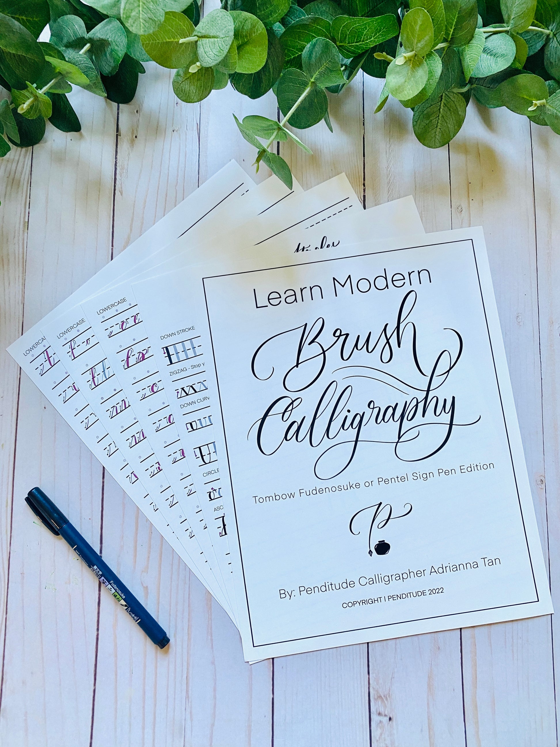 Beginner's Modern Brush Calligraphy Workbook Digital Download